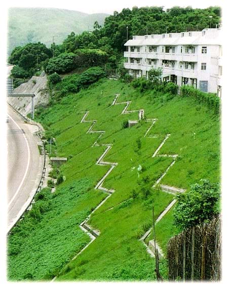 vegetated